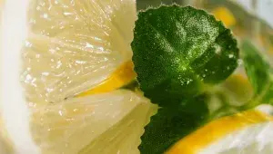 limonáda s citronem a mátou
