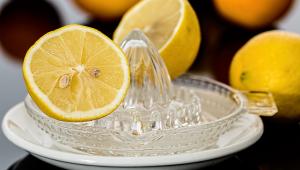 citrony a lis na citrusy