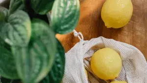 citrony