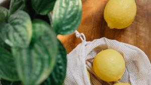 citrony