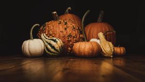 pumpkins-pexels-timmossholder-3017171.jpg