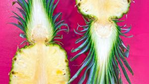 ananas