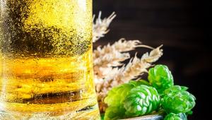 pixabay-beer-2695359_1280.jpg