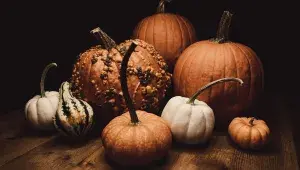 pixabay-pumpkins-8032727_1280.jpg