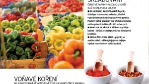 Ukázka z knihy Abeceda zeleniny