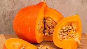 dýně
