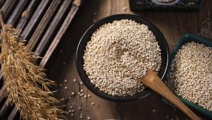 quinoa