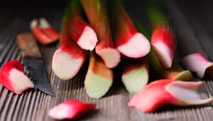 Při nákupu rebarbory vybírejte stonky s co nejčerstvějším řezem, jakmile jsou stonky pružné a měkké, neberte je