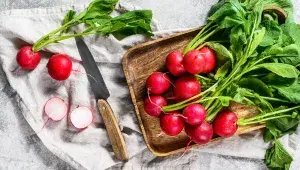 Ředkvičky udělají z obyčejného sendviče křupavý zážitek