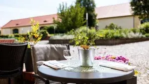 Restaurace Chateau Ctěnice: se svolením restaurace Chateau Ctěnice