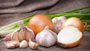 shutterstock_107689469.webp