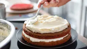 shutterstock_1195901533.webp