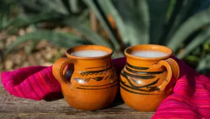 Pulque