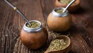 Yerba maté