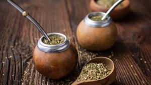 Yerba maté