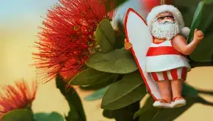 Vánoce Nový Zéland