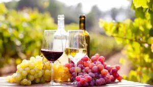 shutterstock_2491860173.webp
