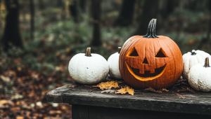 Halloween