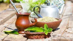 Yerba_Mate_shutterstock_389234029.jpeg