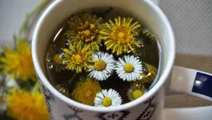 Pampelišky se hodí i do bylinného čaje