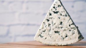 gorgonzola