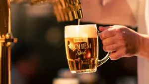 Pivo Bohém