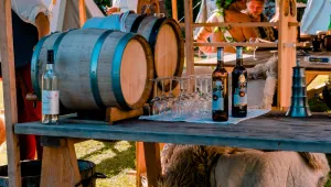 Moravské vinobraní