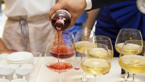 bile vino