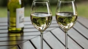 vino