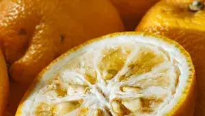 Dužina yuzu je spíš sušší