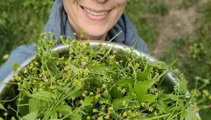 Diana Mozoláková sbírá bylinky po celý rok