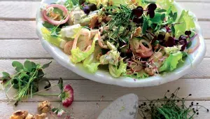 Salát se sedmikráskou 