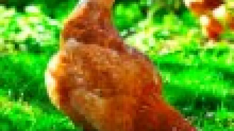 Tip na výlet: Toulcův dvůr