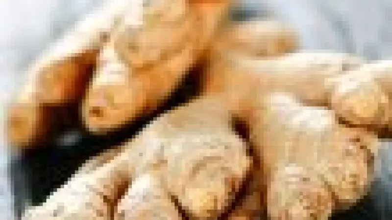 VIDEO: jak na zázvor xxx