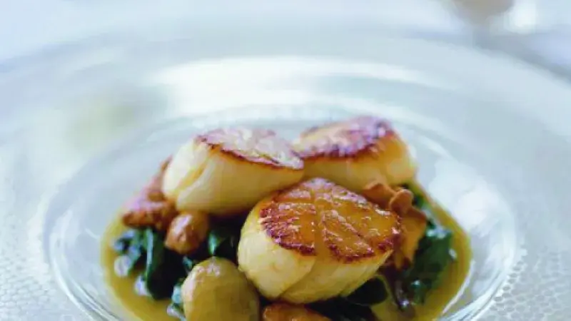 Svatojakubské mušle s lesními houbami