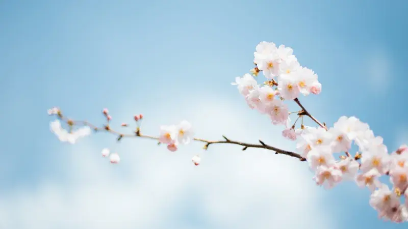 Kam pro jarní inspiraci