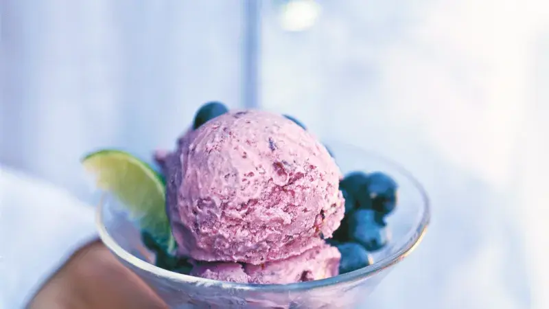 Zmrzlina z borůvek a limetek