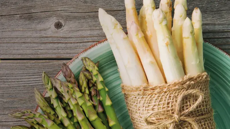 Tipy na víkend: 11.–12. 5. 2019