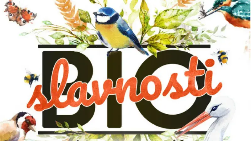 Tipy na víkend 14.–15. 7.: Francouzský trh na Kampě a jiné