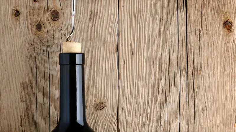 Túra po valtických vinicích pěšky i na kole