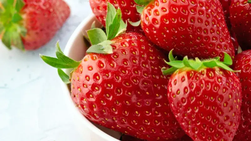 Jahodobraní na Jiřáku