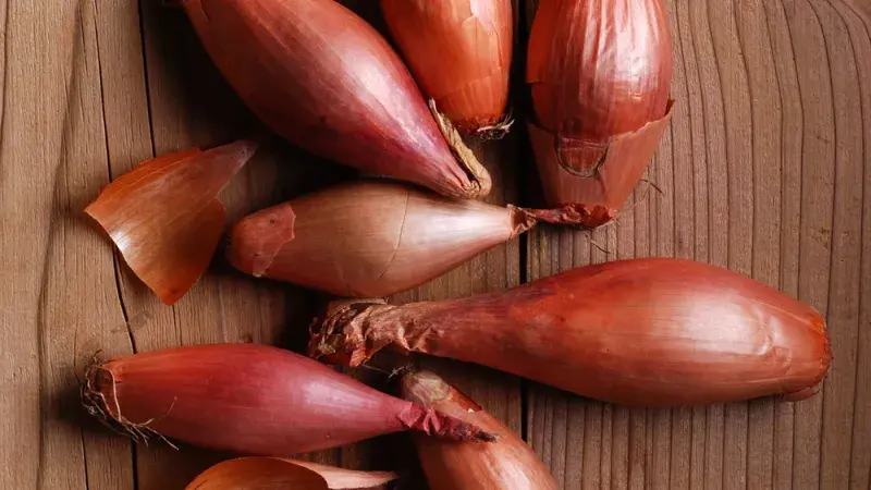 Otázka & odpověď: šalotka, nebo cibule?