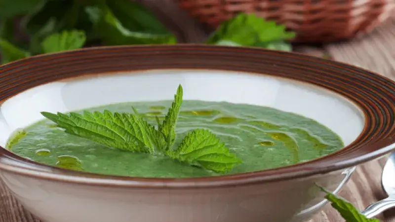 špenátová polévka