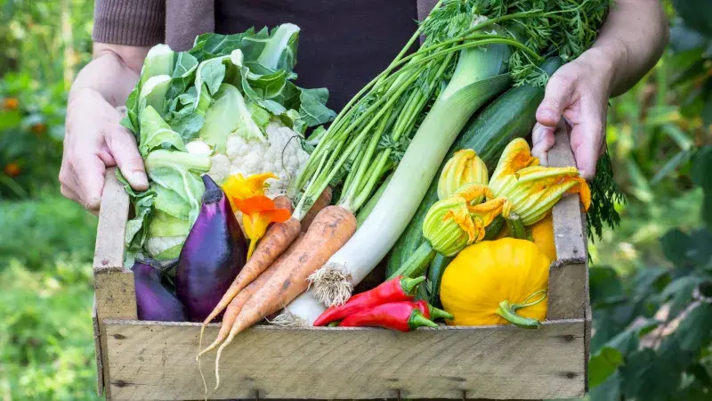 To tu ještě nebylo! U Národního divadla vyroste tržnice