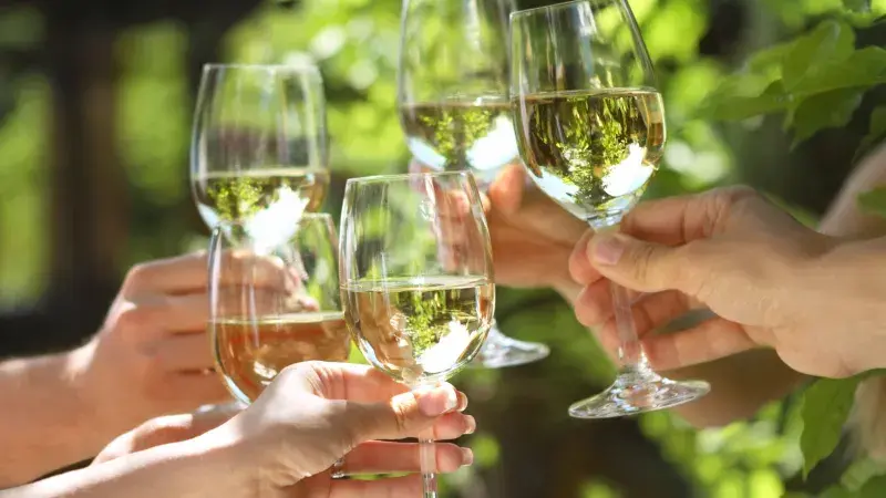 ochutnávání vína