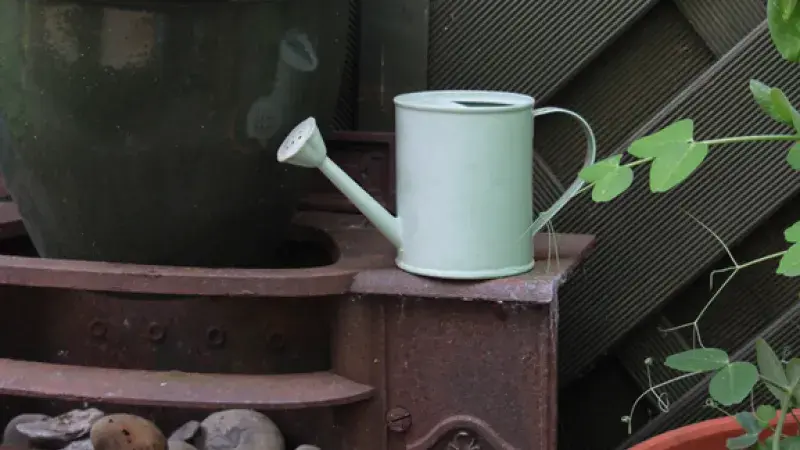 Domácí & čerstvé: zahrádka na balkoně