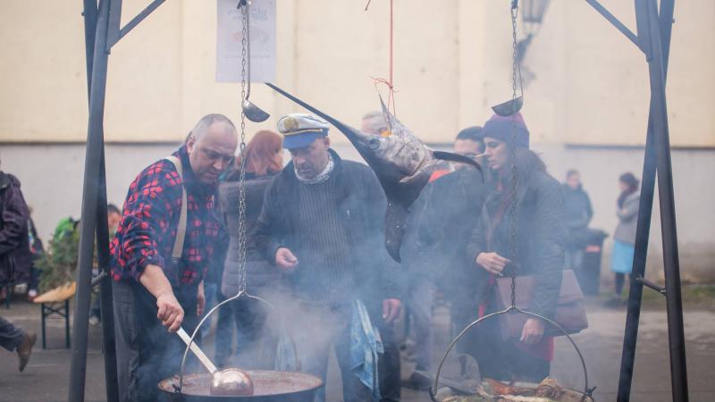 festival polevky
