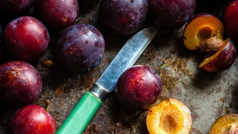 Babí léto ve znamení blum