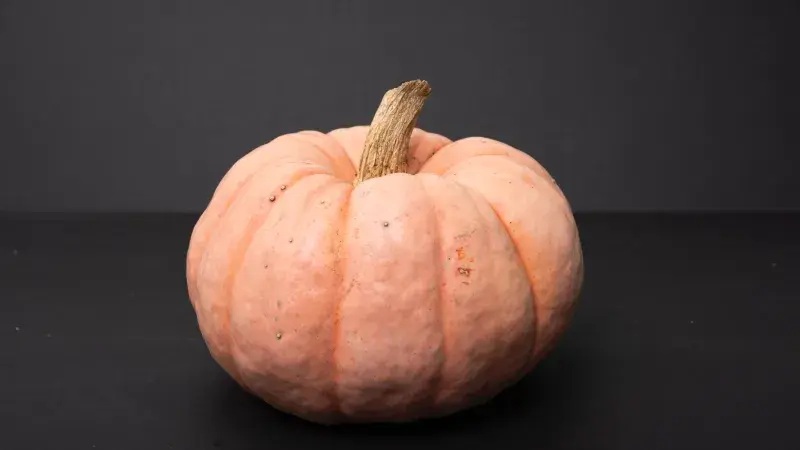 Nejen hokkaido: zajímavé druhy dýní, které lze použít při vaření