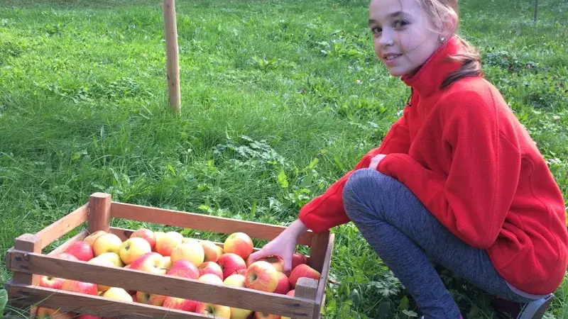 Na švestky do Sousedovy zahrady